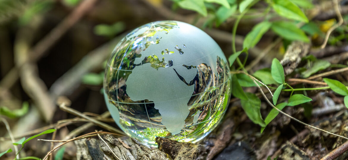 An introspective look at carbon reductions