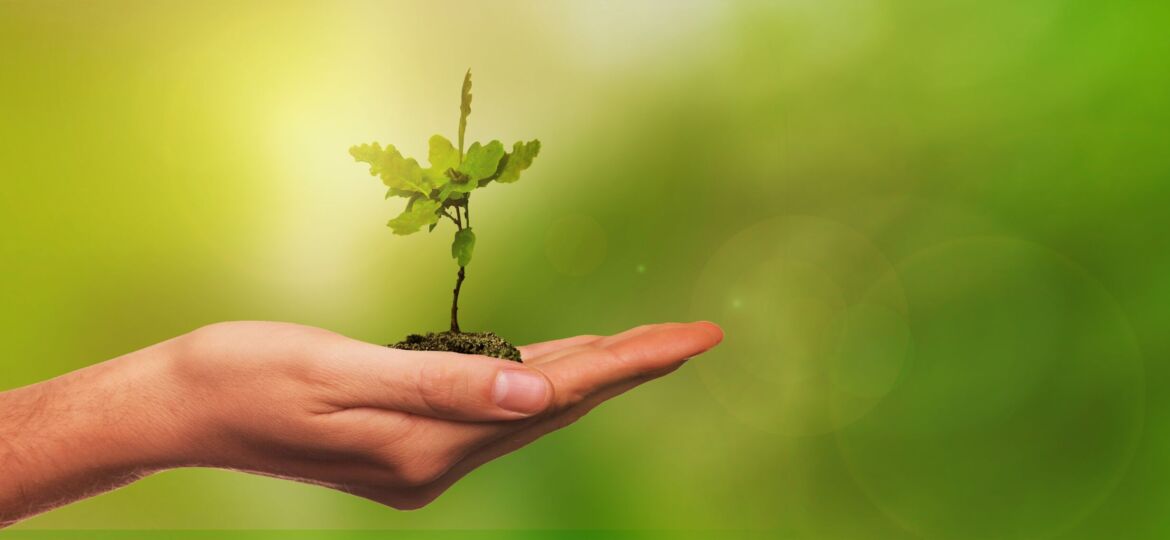 In the limelight: green data centre operations