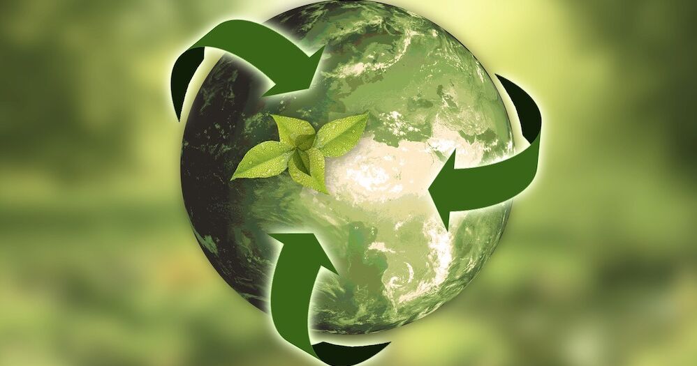 The Role of Technology in Creating A More Sustainable Future